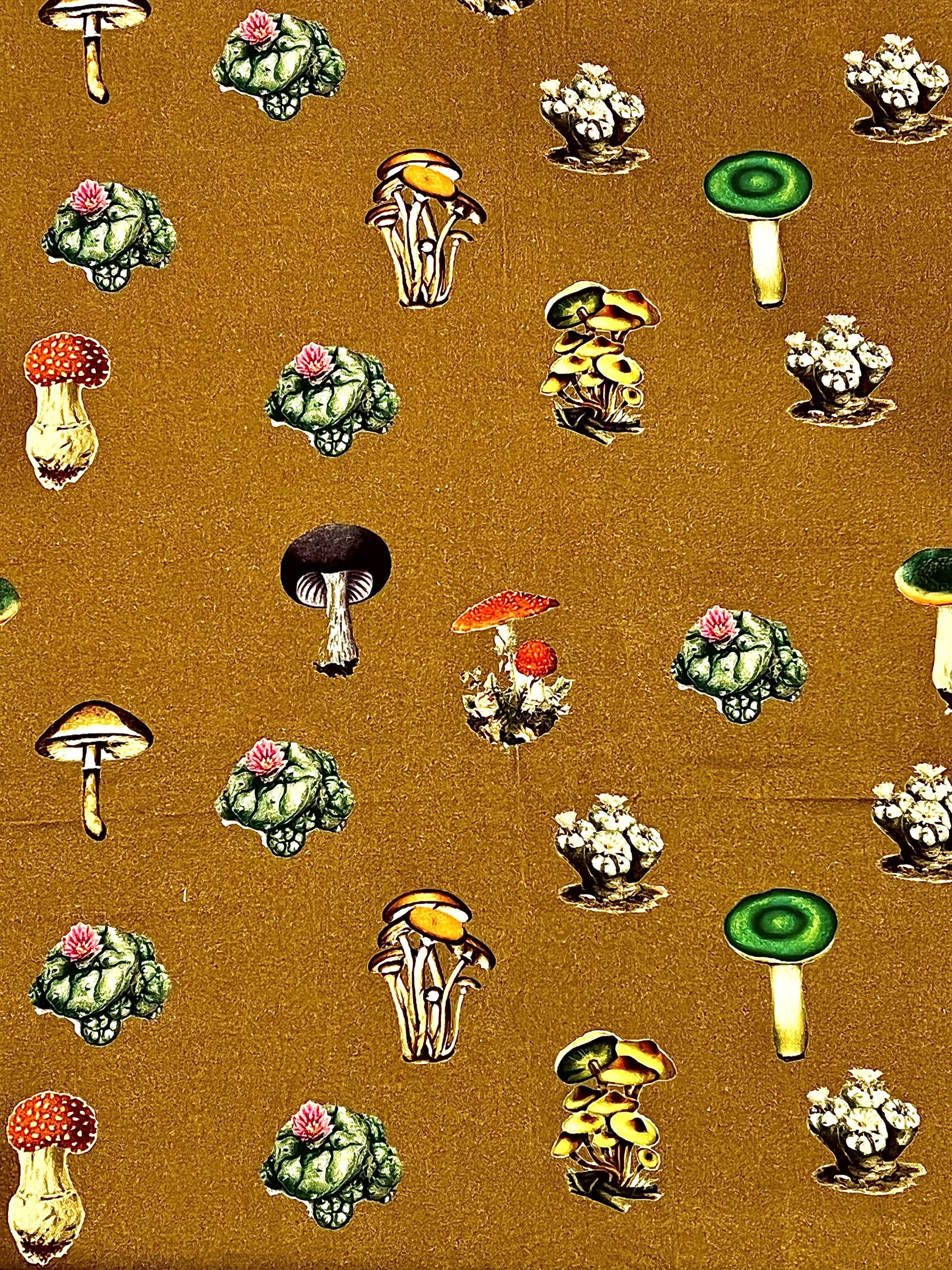 Skidz Pants Stash Pant - Mushrooms & Cacti