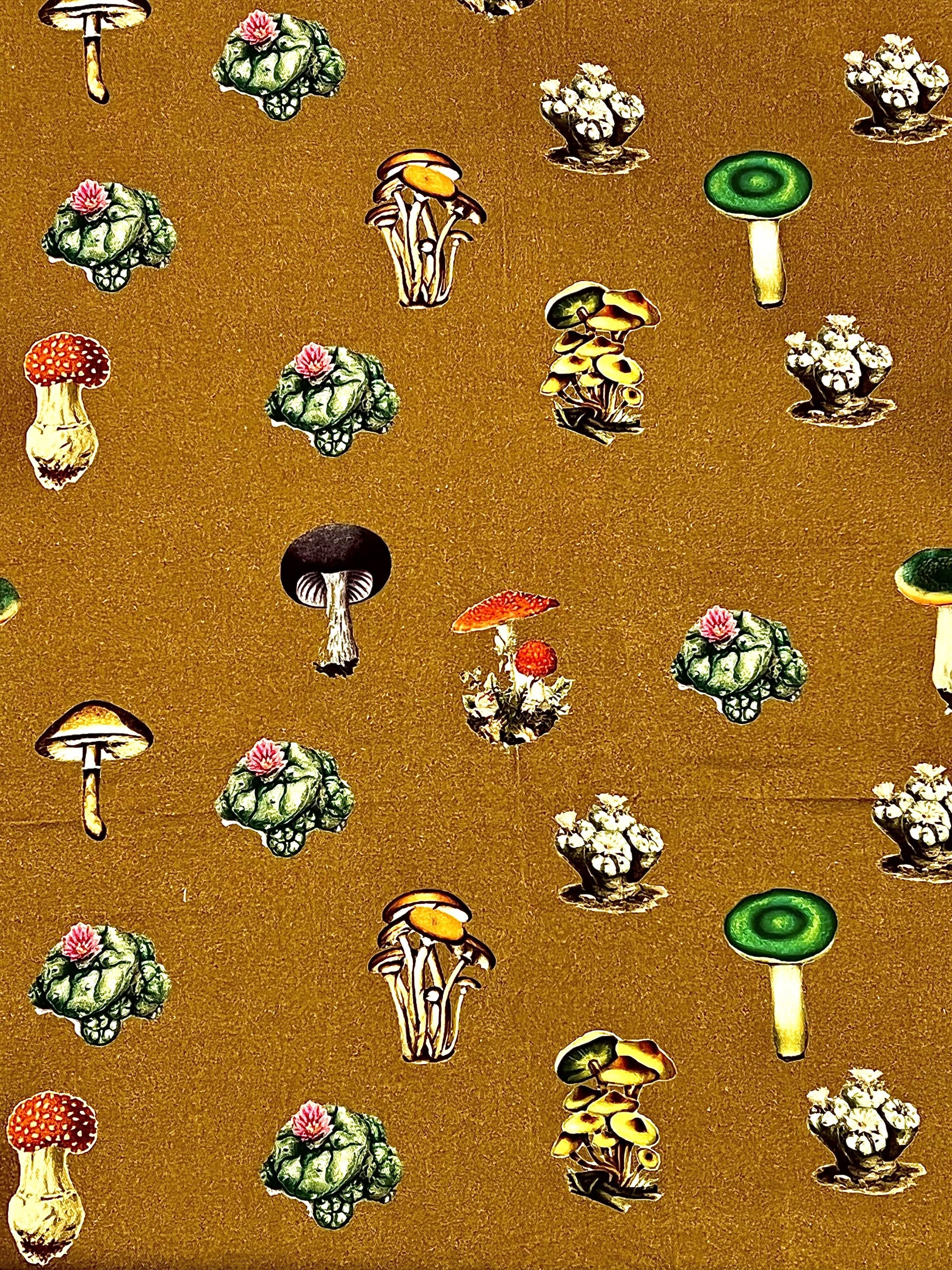 Skidz Pants Mushrooms & Cacti - Brown